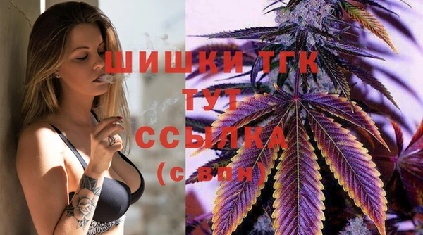 герыч Протвино