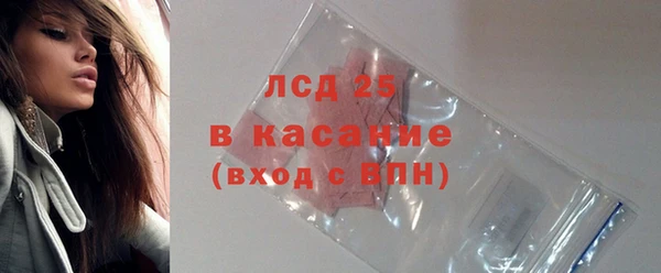винт Ельня