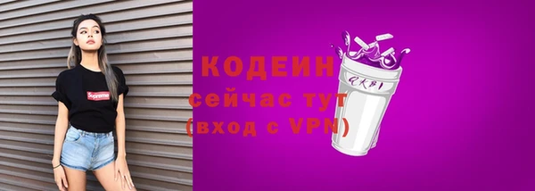 крисы Елизово