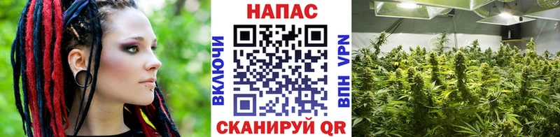 что такое наркотик hydra ONION МАРИХУАНА Amnesia Сковородино